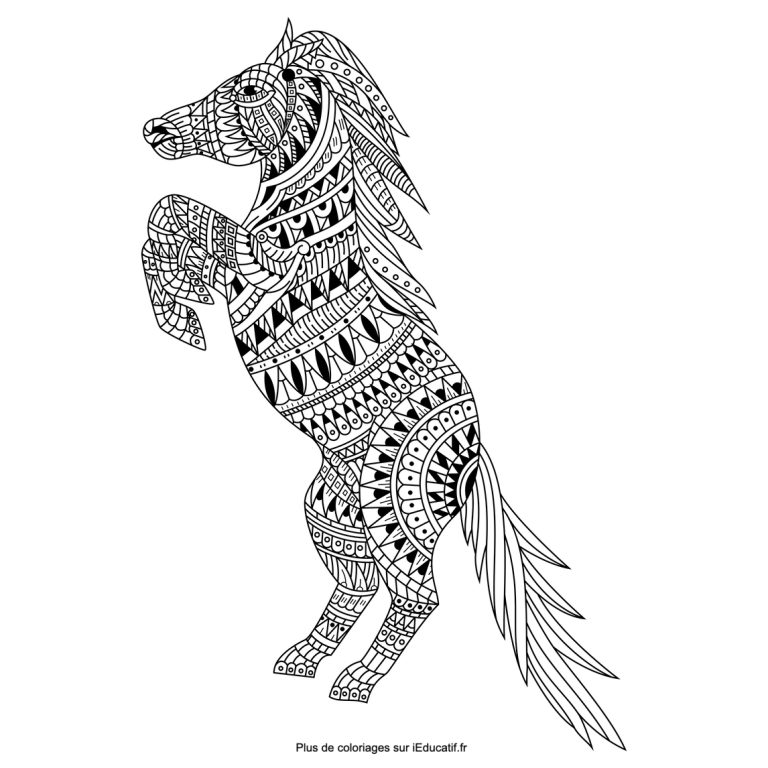 Horses Coloring Pages (Printable)