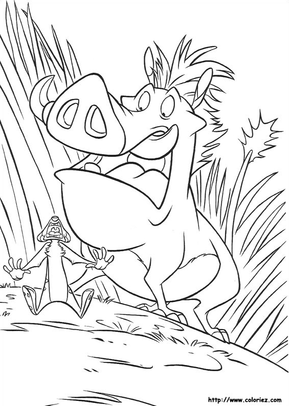 Meeting Between Timon And Pumbaa Coloring Page (Lion King)