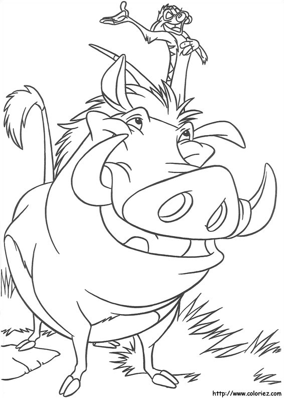 The Funny Duo Coloring Page (Lion King)