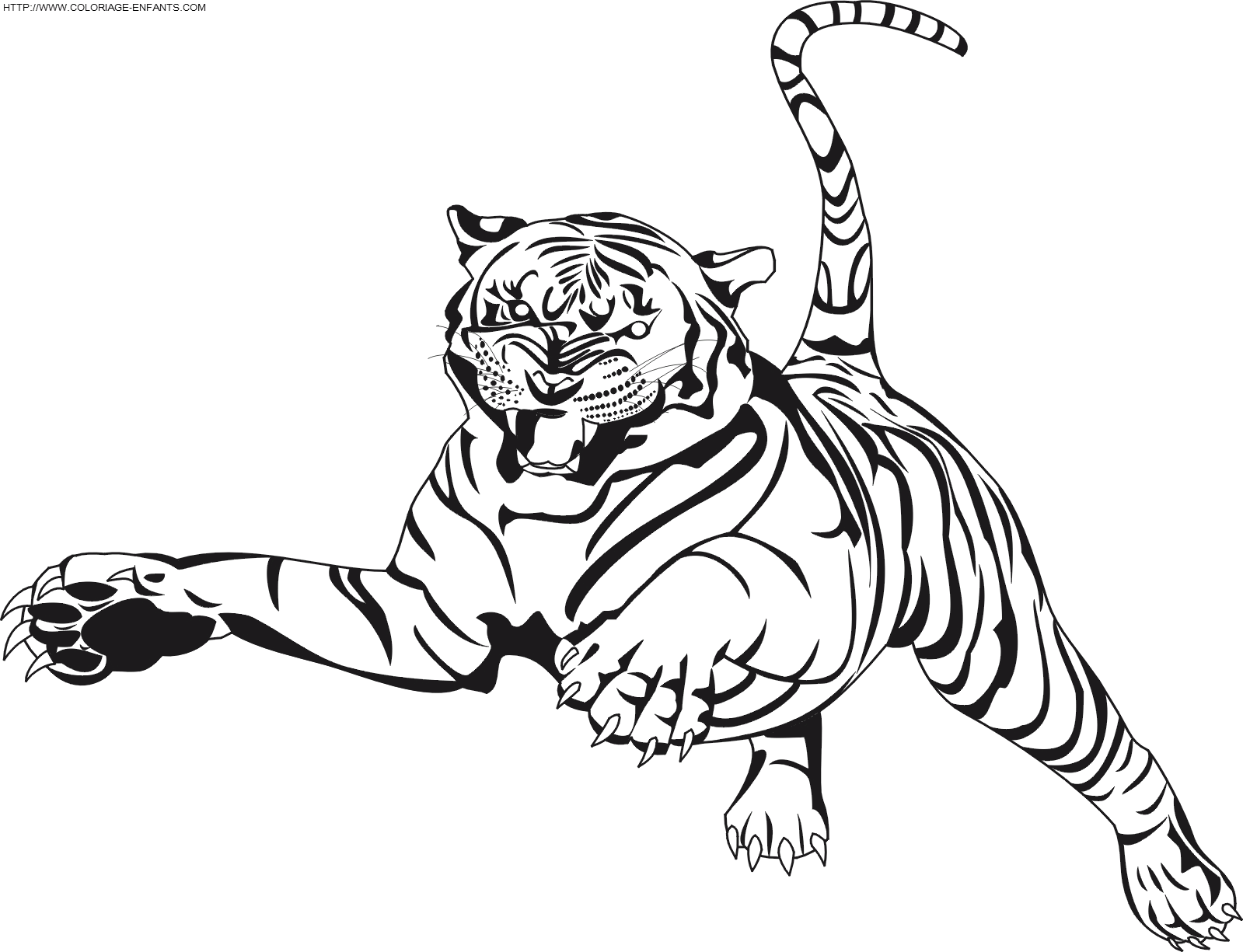 A Nice Tiger Coloring Pages